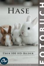 Hase af A Arelt