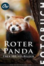 Roter Panda af A Arelt