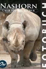 Nashorn af A Arelt