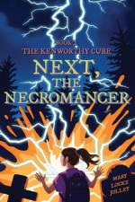 Next, The Necromancer af Mary Locke Jolley