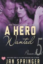 Hero Wanted af Springer Jan Springer