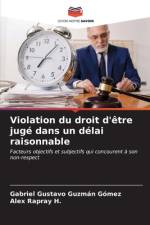 Violation du droit d'être jugé dans un délai raisonnable af Gabriel Gustavo Guzmán Gómez