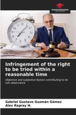 Infringement of the right to be tried within a reasonable time af Gabriel Gustavo Guzmán Gómez
