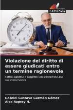 Violazione del diritto di essere giudicati entro un termine ragionevole af Gabriel Gustavo Guzmán Gómez