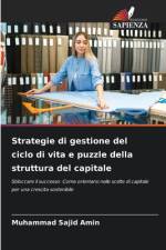 Strategie di gestione del ciclo di vita e puzzle della struttura del capitale af Muhammad Sajid Amin