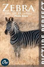 Zebra af A Arelt