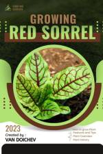 Red Sorrel af Van Doichev