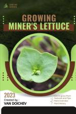 Miner's Lettuce af Van Doichev