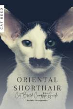 Oriental Shorthair af Ruslana Shurpatenko