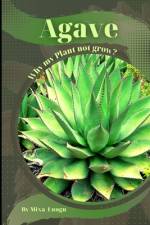 Agave af Mixa Lungu