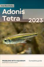 Adonis Tetra af Iva Novitsky