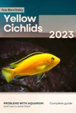 Yellow Cichlids af Iva Novitsky