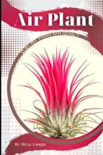 Air Plant af Mixa Lungu