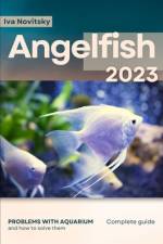 Angelfish af Iva Novitsky