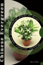 Chinese Evergreen af Tetiana Sabanen