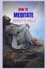 How to Meditate Effectively af Prophet Pd John
