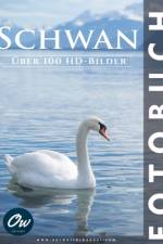 Schwan af A Arelt