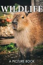 A Picture Book of Wildlife af Shirley Faith