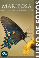 Mariposa af A Arelt
