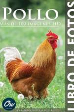 Pollo af A Arelt