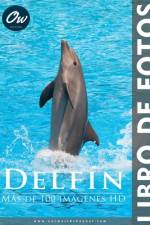 Delfín af A Arelt