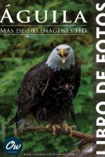 Águila af A Arelt