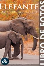 Elefante af A Arelt