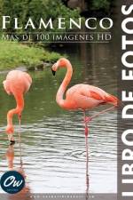 Flamenco af A Arelt