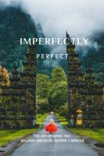 Imperfectly Perfect af Miracle C Godwin