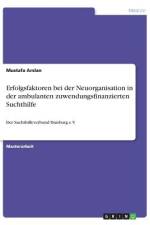 Erfolgsfaktoren bei der Neuorganisation in der ambulanten zuwendungsfinanzierten Suchthilfe af Mustafa Arslan