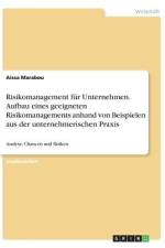 Risikomanagement für Unternehmen. Aufbau eines geeigneten Risikomanagements anhand von Beispielen aus der unternehmerischen Praxis af Aissa Marabou