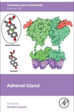 Adrenal Gland af Gerald Litwack