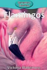 Flamingos af Victoria Blakemore