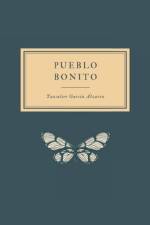Pueblo Bonito af Yansulier García Álvarez