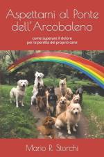 Aspettami al Ponte dell'Arcobaleno af Mario R Storchi