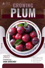 Plum af Van Doichev