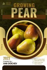 Pear af Van Doichev