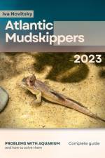Atlantic Mudskippers af Iva Novitsky