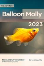 Balloon Molly af Iva Novitsky