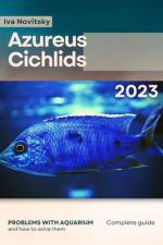Azureus Cichlids af Iva Novitsky