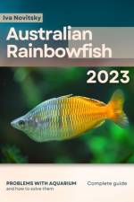 Australian Rainbowfish af Iva Novitsky