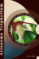 Arisaema Triphyllum af Tetiana Sabanen