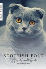Scottish Fold af Ruslana Shurpatenko