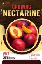 Nectarine af Van Doichev