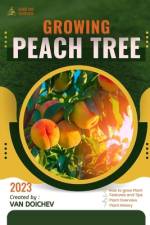 Peach Tree af Van Doichev