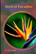 Bird of Paradise af Mixa Lungu