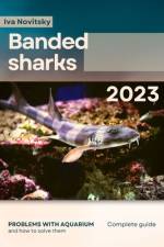 Banded sharks af Iva Novitsky
