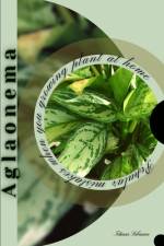Aglaonema af Tetiana Sabanen