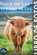 Vaca de las tierras altas af A Arelt