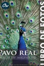 Pavo real af A Arelt